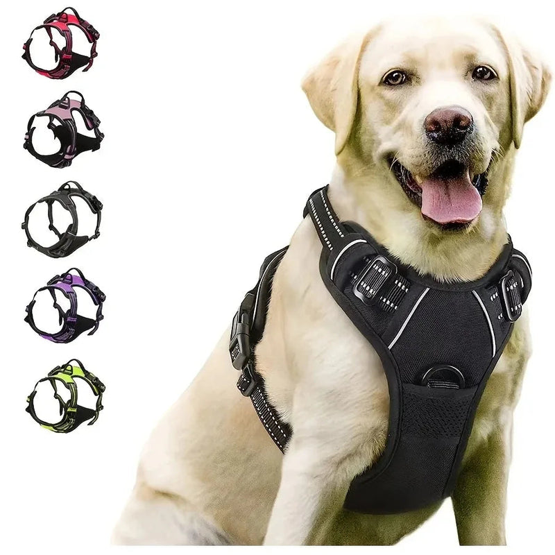 Dog Collars Harness Big Vests Leash Pet Shop Everything for Dogs Leather Puppy Accessories Medium Small Set HairWorthy