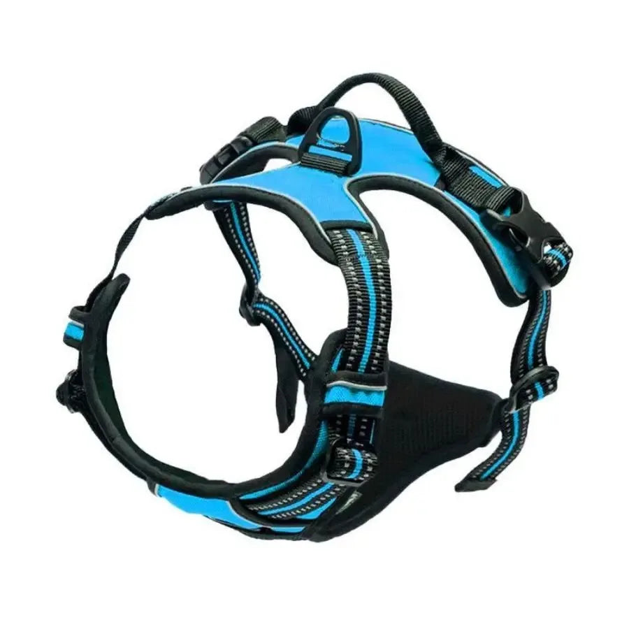 Dog Collars Harness Big Vests Leash Pet Shop Everything for Dogs Leather Puppy Accessories Medium Small Set HairWorthy