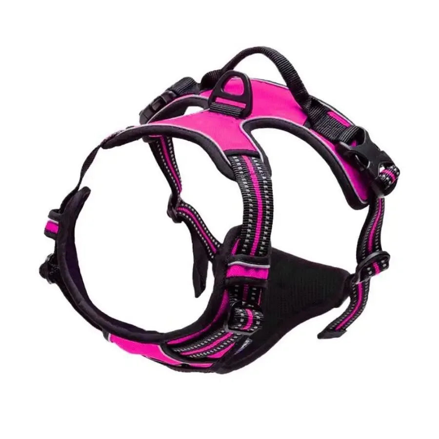 Dog Collars Harness Big Vests Leash Pet Shop Everything for Dogs Leather Puppy Accessories Medium Small Set HairWorthy
