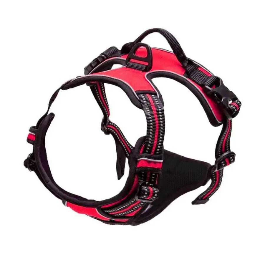 Dog Collars Harness Big Vests Leash Pet Shop Everything for Dogs Leather Puppy Accessories Medium Small Set HairWorthy