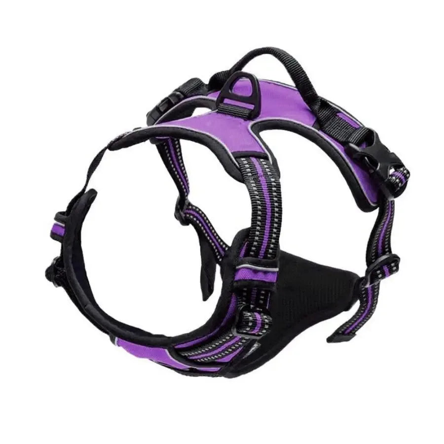Dog Collars Harness Big Vests Leash Pet Shop Everything for Dogs Leather Puppy Accessories Medium Small Set HairWorthy