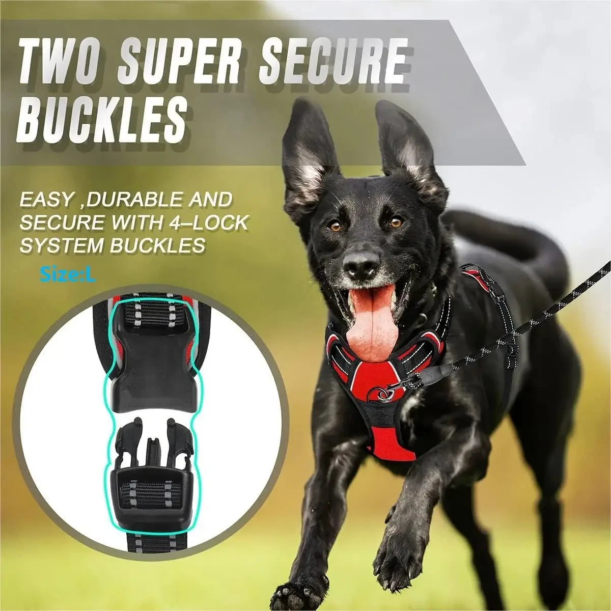 Dog Collars Harness Big Vests Leash Pet Shop Everything for Dogs Leather Puppy Accessories Medium Small Set HairWorthy