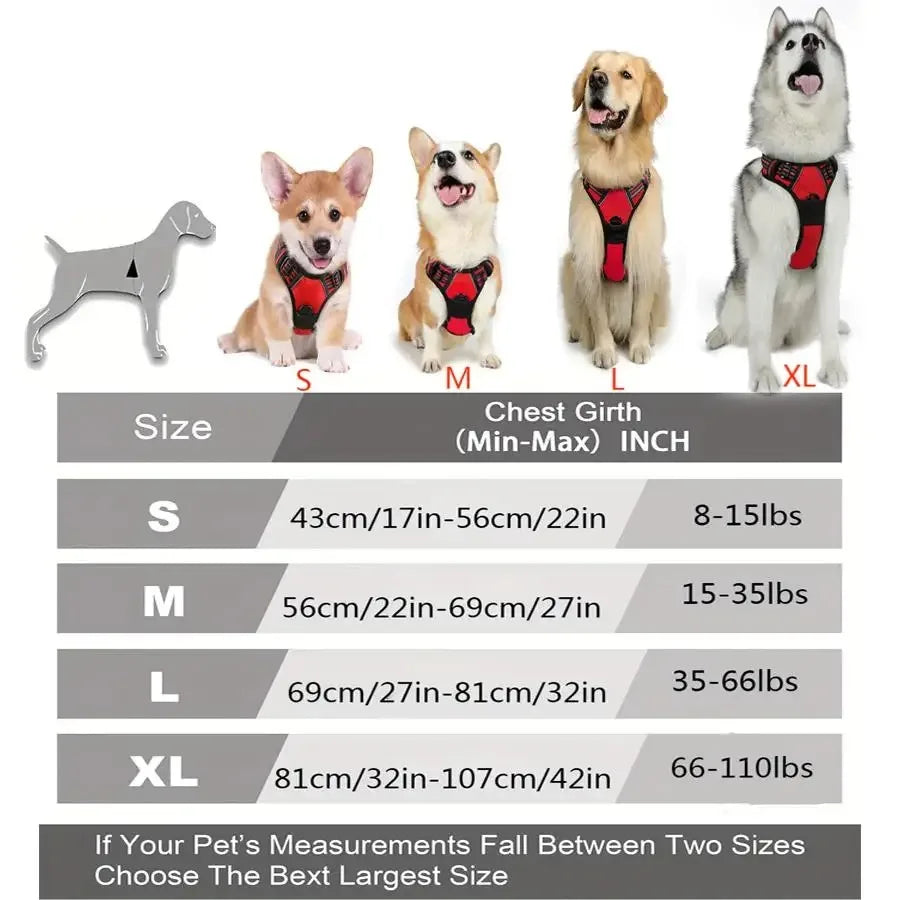 Dog Collars Harness Big Vests Leash Pet Shop Everything for Dogs Leather Puppy Accessories Medium Small Set HairWorthy