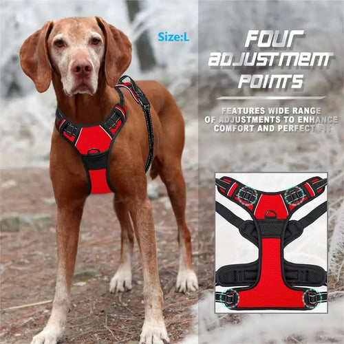 Dog Collars Harness Big Vests Leash Pet Shop Everything for Dogs Leather Puppy Accessories Medium Small Set HairWorthy