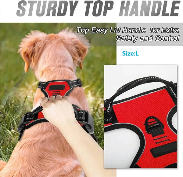 Dog Collars Harness Big Vests Leash Pet Shop Everything for Dogs Leather Puppy Accessories Medium Small Set HairWorthy