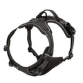 Dog Collars Harness Big Vests Leash Pet Shop Everything for Dogs Leather Puppy Accessories Medium Small Set HairWorthy